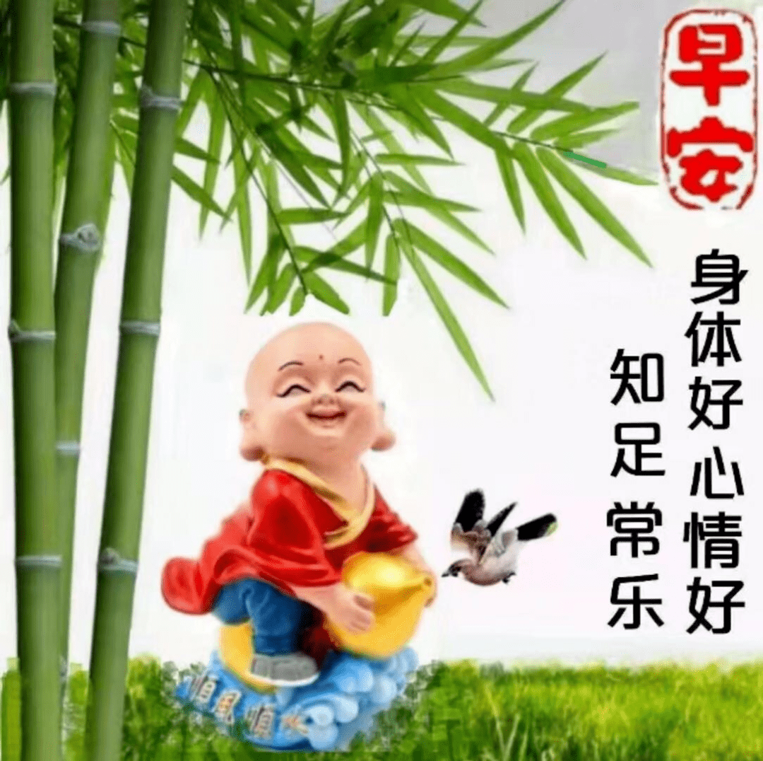 眼高于顶无尽处知足常乐包容心猜一生肖，全面释义、精准解答解释落实
