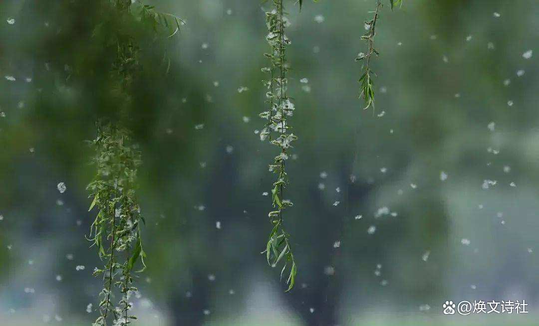 素衣輕拂圓球手持细雨斜风晚更多打一准确生肖请全面2释义、解释与落实、深度解答解释落实